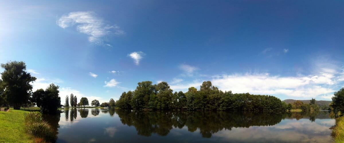 A calm lake with trees reflecting in the water, surrounded by a grassy area and a clear blue sky.