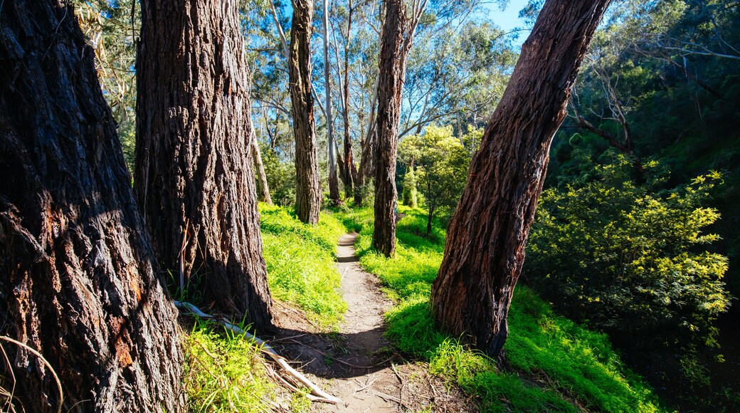 ์ฌ์ฐ์ค ๋ชจ๋