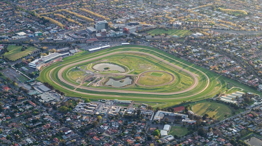 An aerial view of a city with a large oval-shaped stadium surrounded by residential areas and roads.