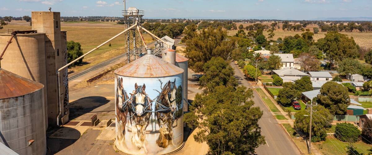 Goorambat showing outdoor art, farmland and landscape views