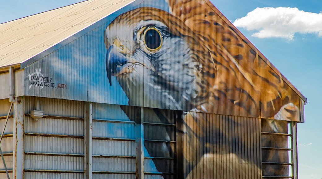 Goorambat showing outdoor art