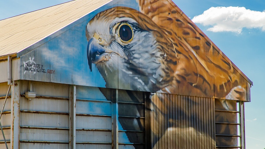 Goorambat showing outdoor art