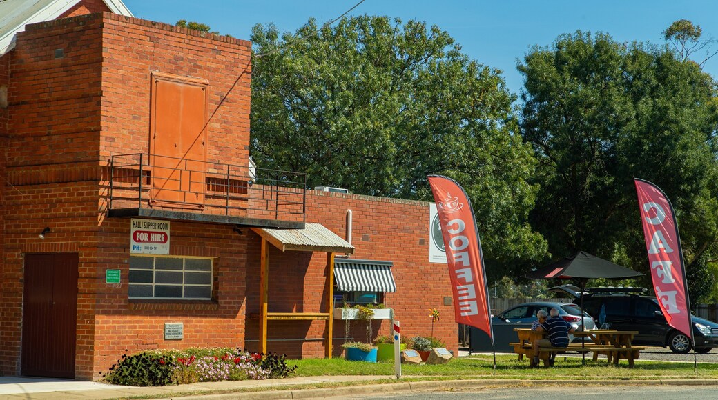 Goorambat showing a small town or village