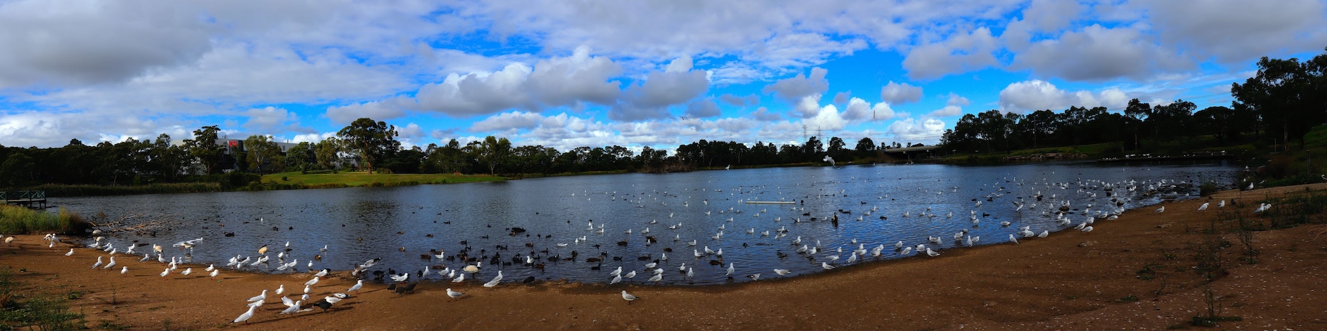 Un lago con aves, árboles y un cielo nublado.