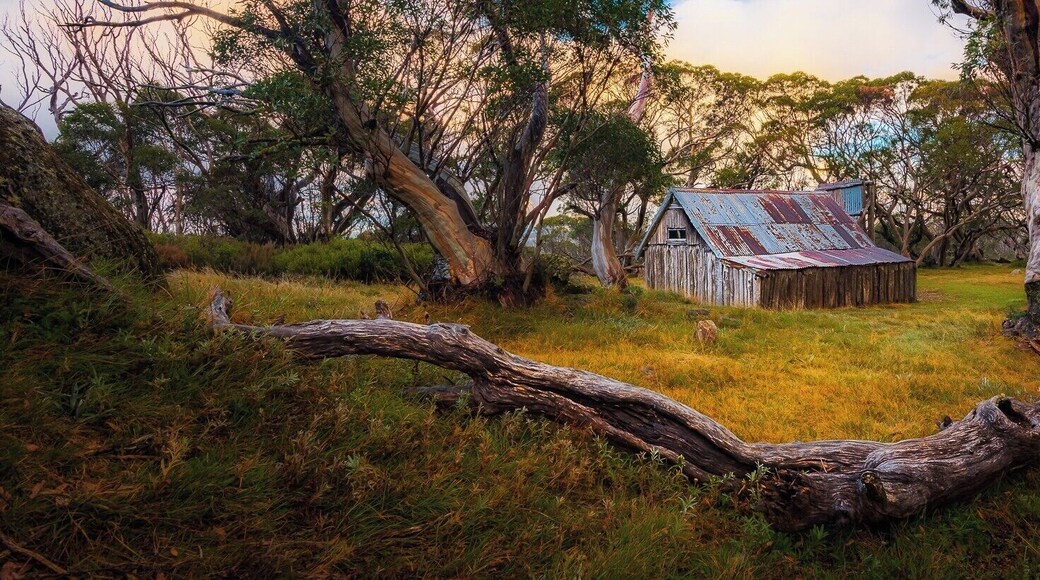 No camping within 200m of the hut... apparently... what you can't see in this image are 4 tents set up directly behind the hut which limited me to, well, this one composition. I'm stoked I walked away with this image though :)