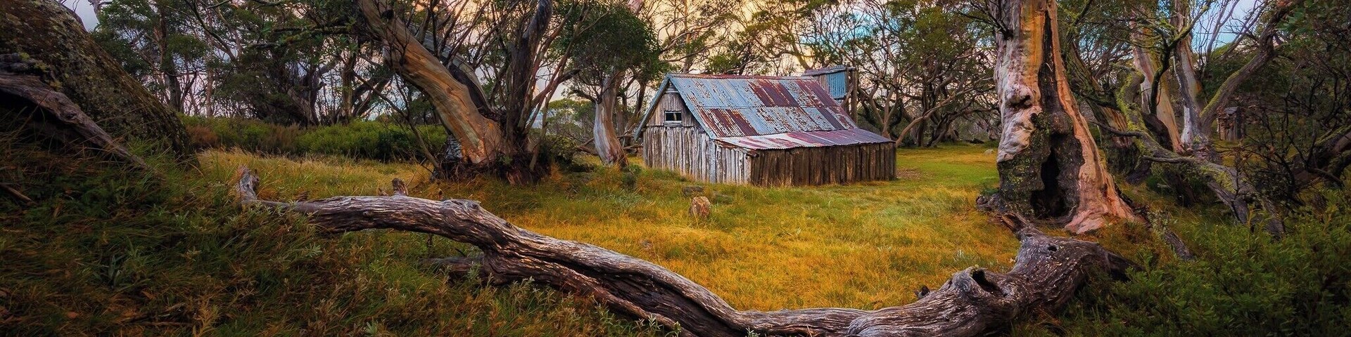 No camping within 200m of the hut... apparently... what you can't see in this image are 4 tents set up directly behind the hut which limited me to, well, this one composition. I'm stoked I walked away with this image though :)