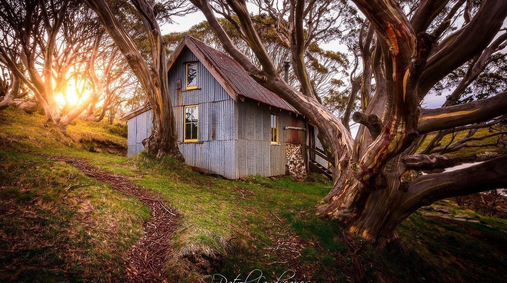 The Vic High Country is such a beautiful place, with fun 4wd tracks to breathtaking views over what seems like never ending rugged hills. Littered through out are High Country huts, used as emergency shelter in case situations turn bad while you’re out. This is one such hit, Cope Hut, with some stunning afternoon sun shining through the trees.
#Perspectives