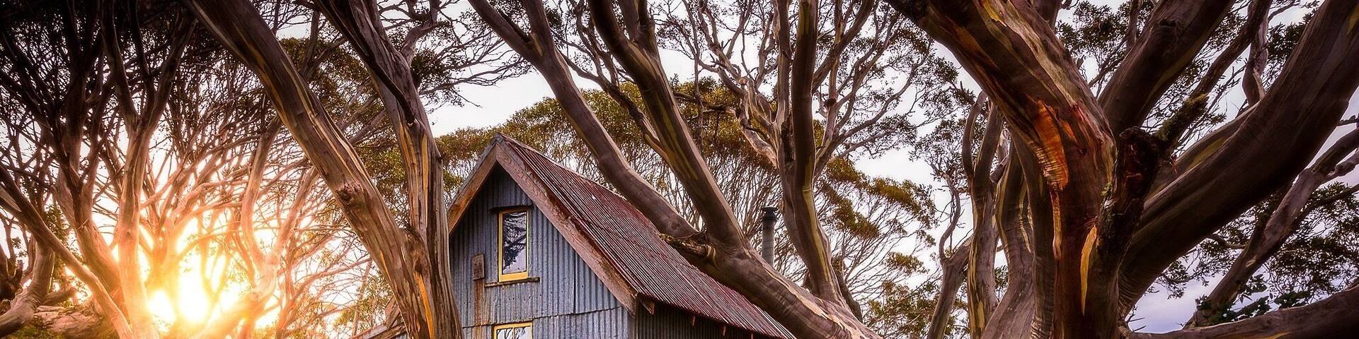 The Vic High Country is such a beautiful place, with fun 4wd tracks to breathtaking views over what seems like never ending rugged hills. Littered through out are High Country huts, used as emergency shelter in case situations turn bad while you’re out. This is one such hit, Cope Hut, with some stunning afternoon sun shining through the trees.
#Perspectives