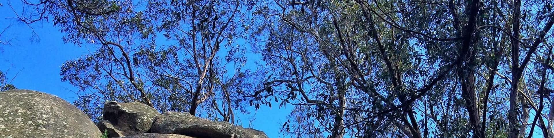 Mount Alexander has some amazing places to test out your climbing skills outside. The climbs range from some easier ones to a few of the more difficult like the one in my photo!