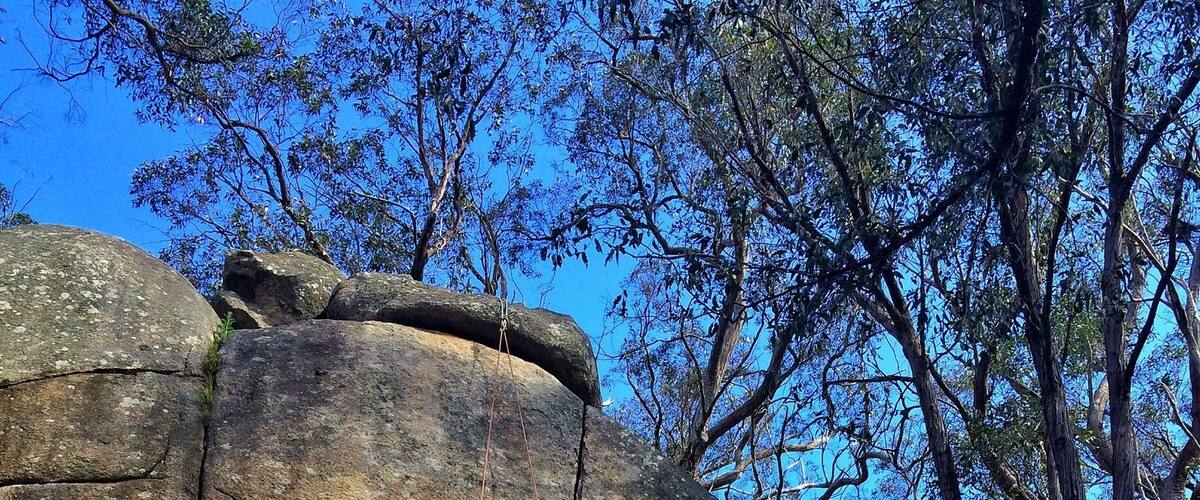 A person rock climbing a large rock formation with trees in the background.