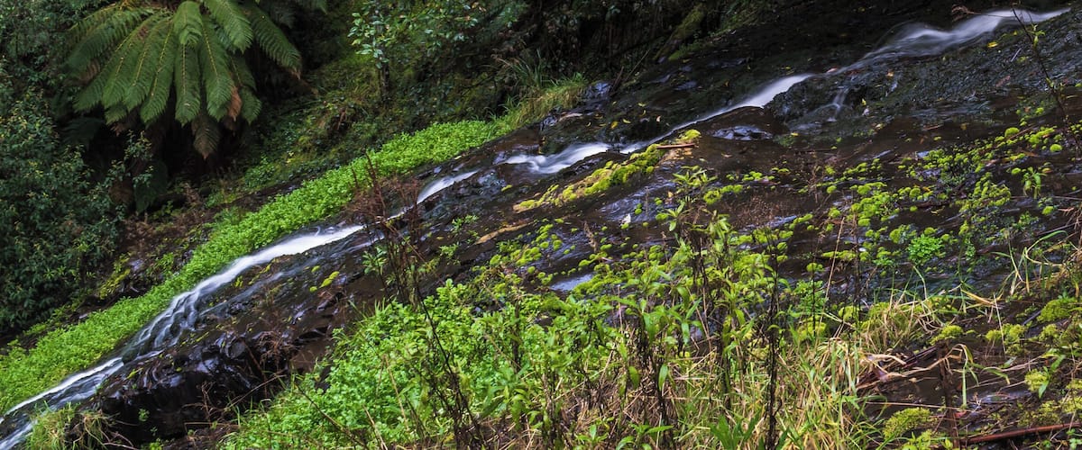 A waterfall cascading over rocks in a lush, green forest.