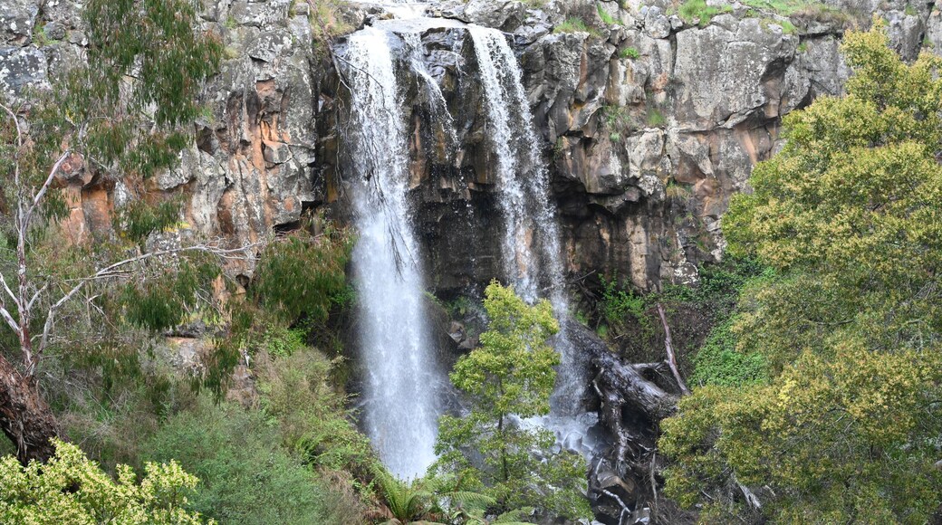 Sailors Falls waterfall ,Hepburn Regional Park, Daylesford, Victoria, Australia