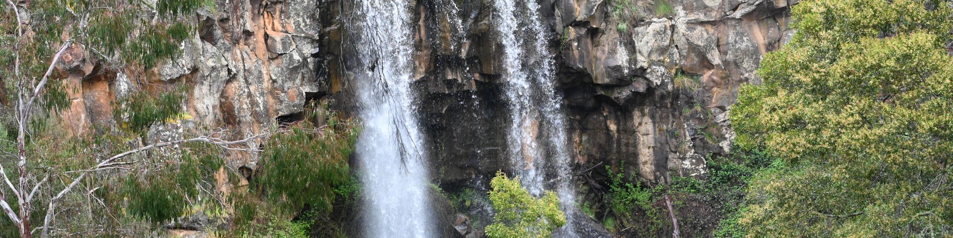 Una cascada desciende por un acantilado rocoso rodeado de vegetación exuberante.