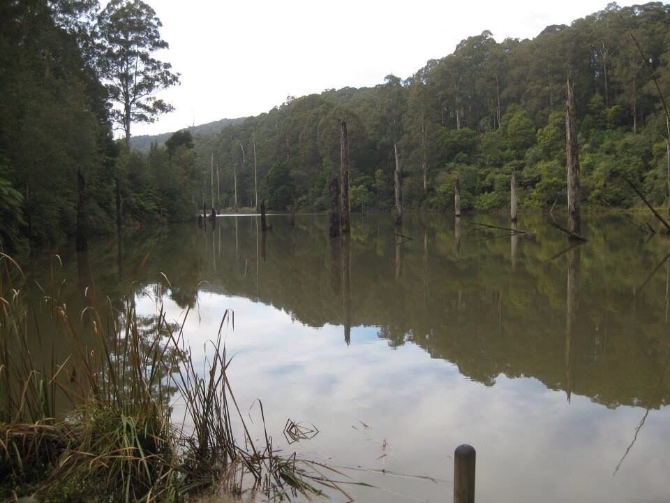 Walk around the lake. 