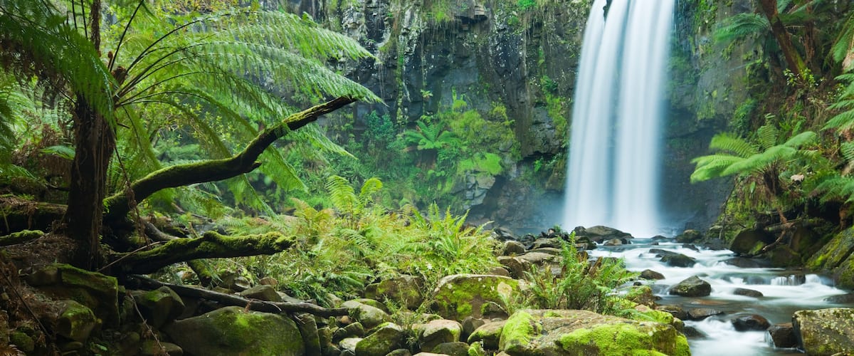 Una exuberante selva tropical con una cascada, helechos densos y un arroyo cubierto de musgo.
