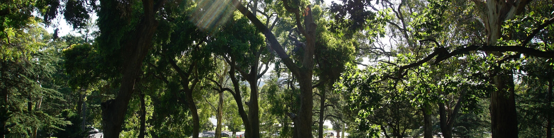 Birrarung Marr, Melbourne, Australia