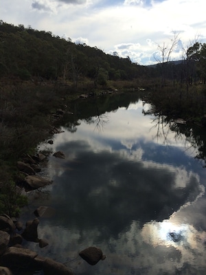 Looking downstream on the Miitta Mitta River, near the township of Dartmouth in #Australia.
Taken on my Easter #Roadtrip.
#Blue #reflection