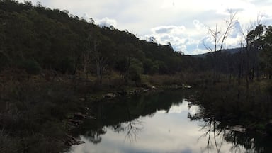 Looking downstream on the Miitta Mitta River, near the township of Dartmouth in #Australia.
Taken on my Easter #Roadtrip.
#Blue #reflection