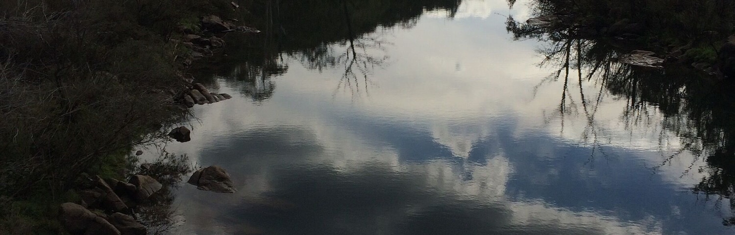 Looking downstream on the Miitta Mitta River, near the township of Dartmouth in #Australia.  
Taken on my Easter #Roadtrip.
#Blue #reflection