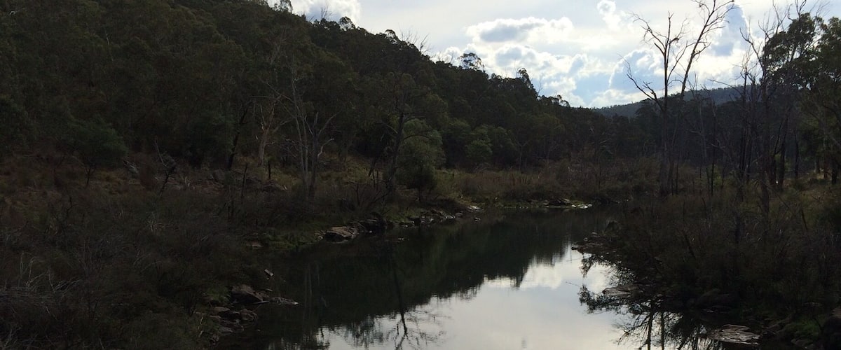 A calm river reflecting trees and sky.