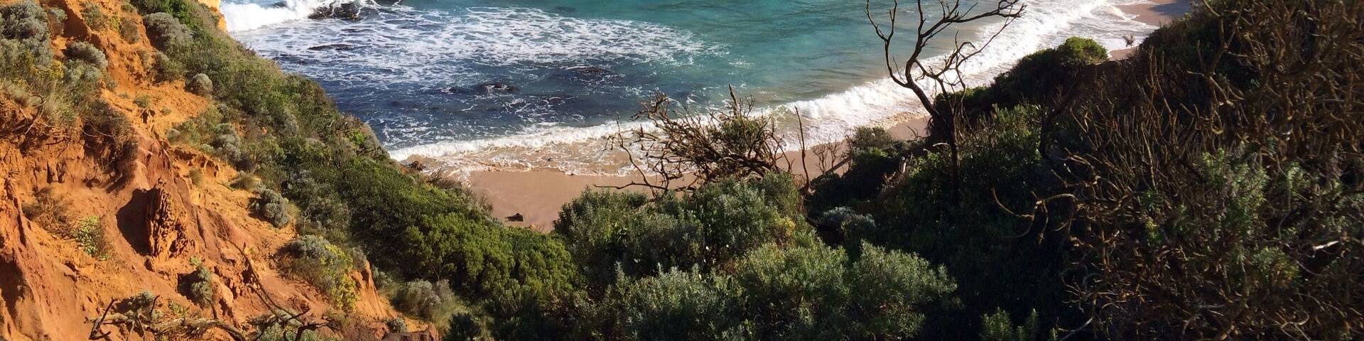 "Childers Cove" on the shipwrecked coast of Victoria, Australia.
A worthy diversion off the #GreatOceanRoad east of Warrnambool.
Steps take one down onto the beach, a great place for #hiking or just being alive!
#roadtrip
#iPhoneonly
#waterlust
Easy #weekendgetaway, no crowds as well off the beaten track!
Shades of natural #blue.
#BestOf5