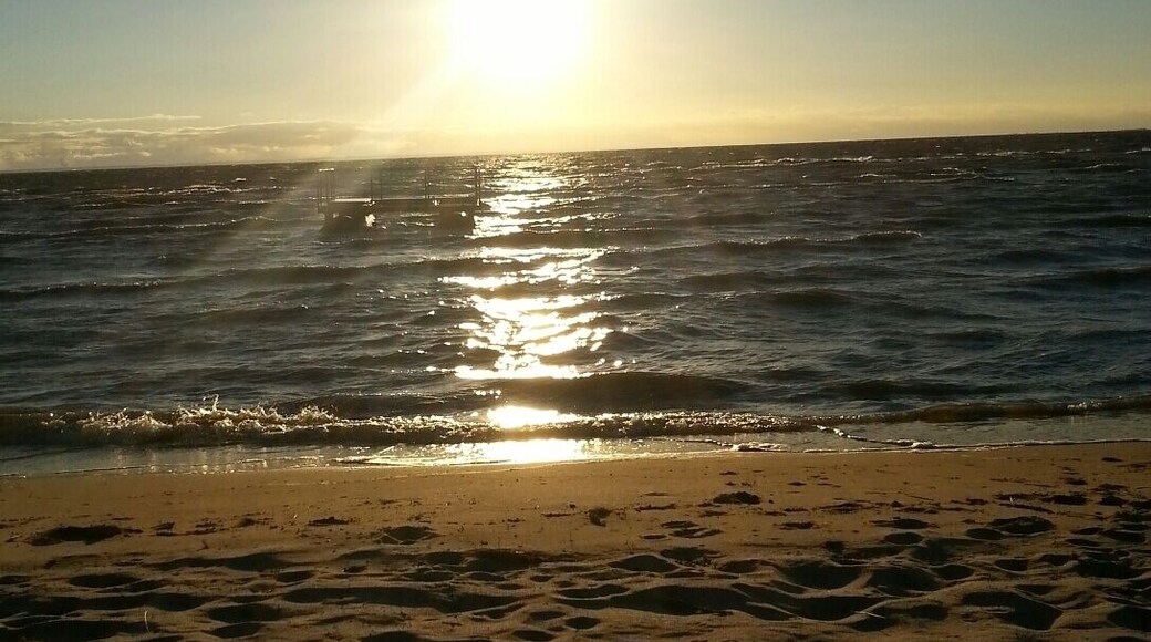 Beach at lake wellington at Roseneath caravan park
#lake, #beach, #eastgippsland, ##Australia
www.wyldfamilytravel.com