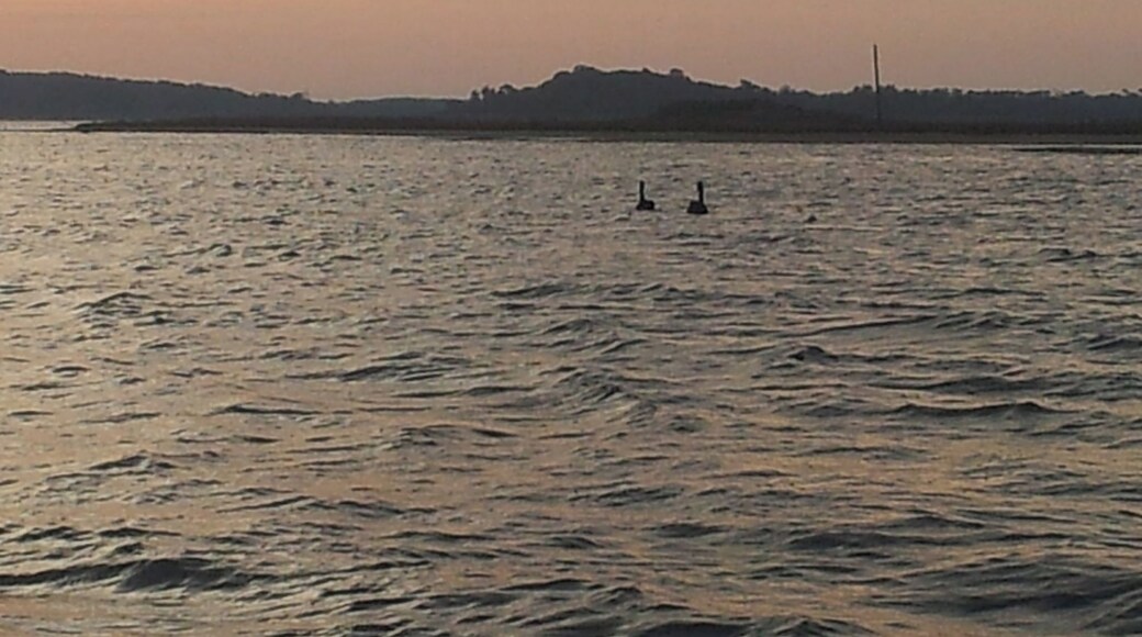 Sunrise over Lake Tyers , East Gippsland , Australia. Early morning fishing trip
#Australia, #eastgippsland, #laketyers, #sunrise, #fishing, #lake
www.wyldfamilytravel.com
