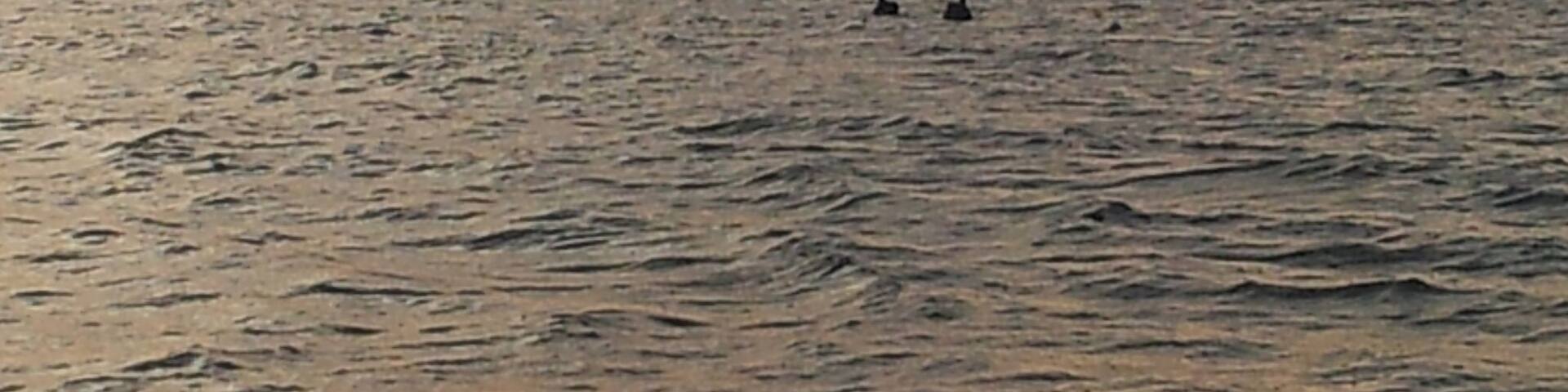 Sunrise over Lake Tyers , East Gippsland , Australia. Early morning fishing trip
#Australia, #eastgippsland, #laketyers, #sunrise, #fishing, #lake
www.wyldfamilytravel.com