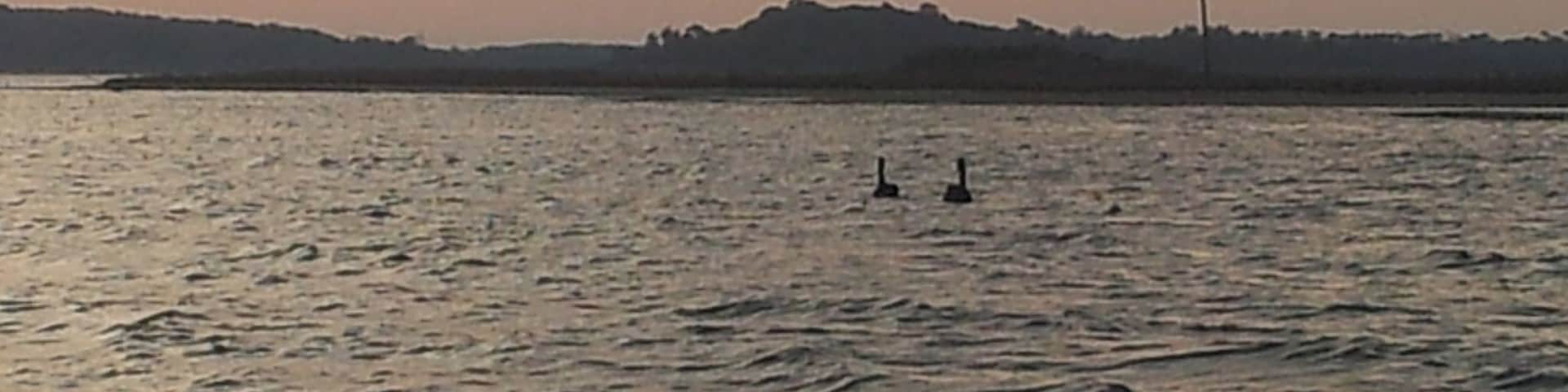 Sunrise over Lake Tyers , East Gippsland , Australia. Early morning fishing trip
#Australia, #eastgippsland, #laketyers, #sunrise, #fishing, #lake
www.wyldfamilytravel.com