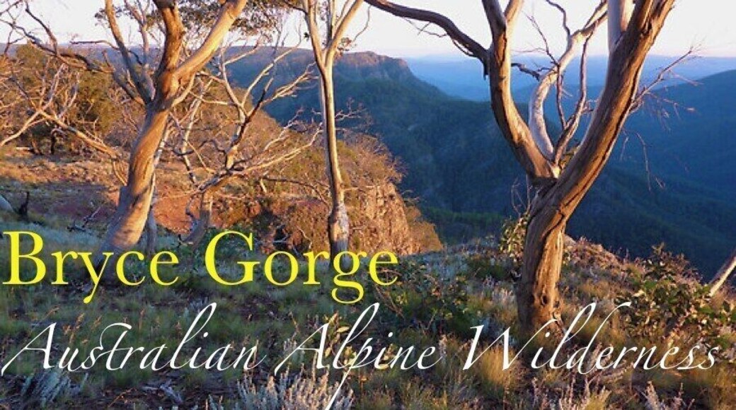 Avon Wilderness region in the Australian Alpine National Park. Bryce Gorge is a stunning area, a couple of hours drive from the little speck of a town called Licola. Loads of free camping and walking trails, old cattle mens huts and views for miles across the mountains.