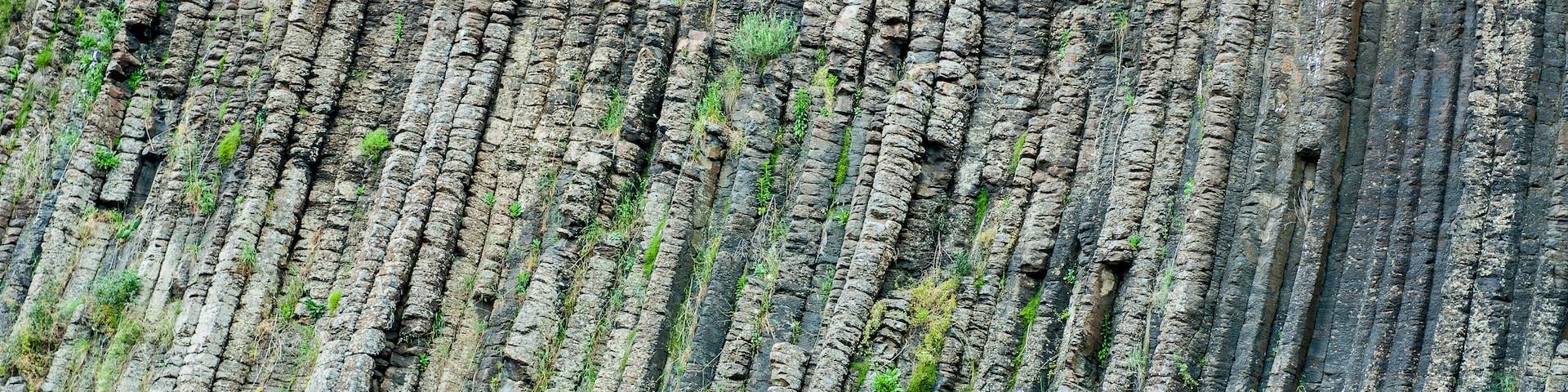 A rocky cliff with layered sedimentary rock formations and sparse vegetation.