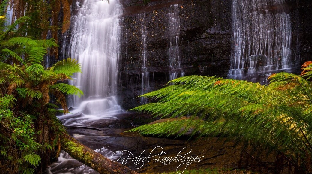 Walking towards the falls I didn’t feel I would get a great photo due to the clear blue skies providing a lot of hot spots in the scene, but I was delighted to find the waterfall in full shade except for some sunbeams!! Beautiful walk topped off with a stunning waterfall.