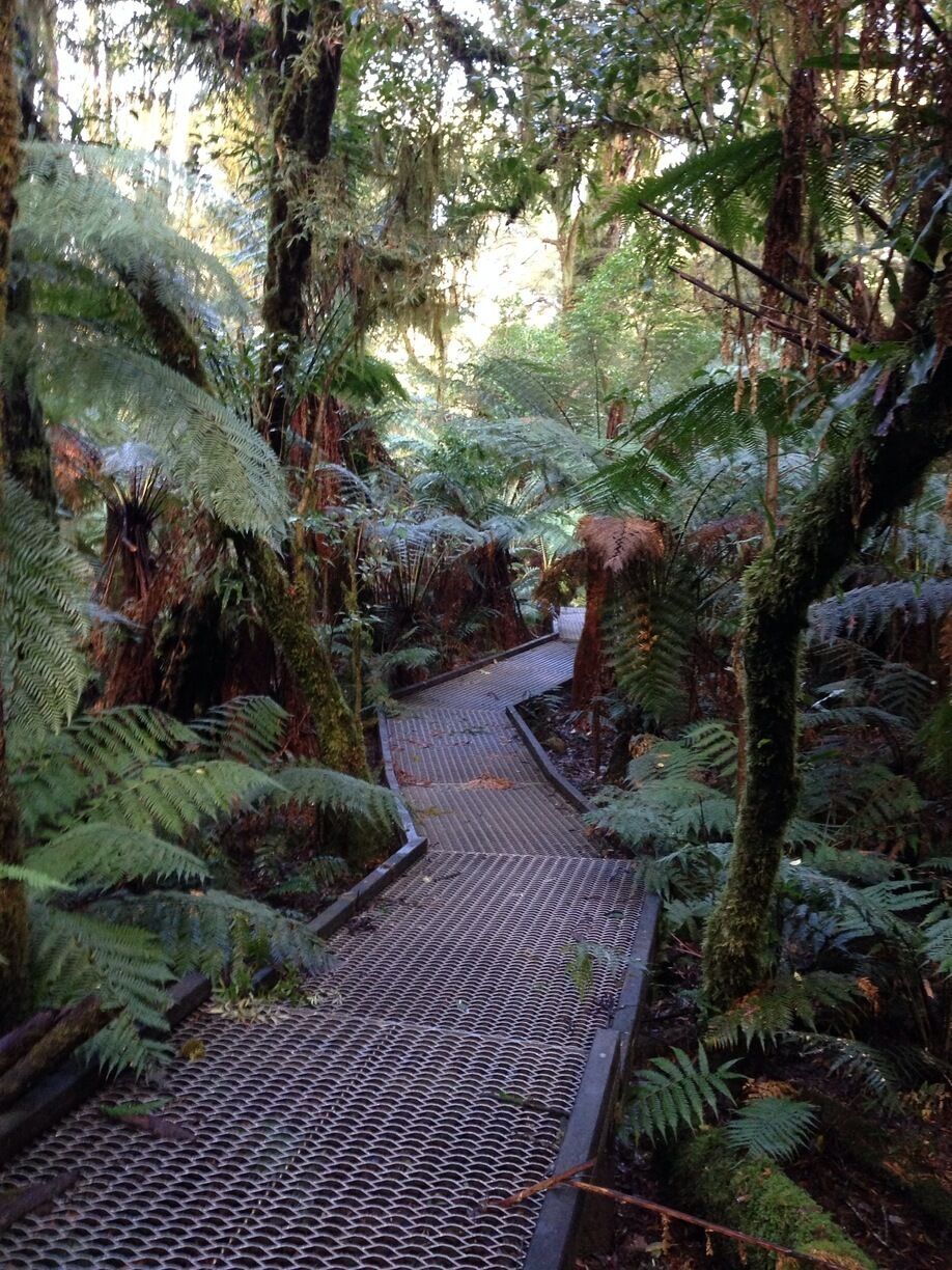 Great walk to view Triplet Falls. Easy one hour round trip to view some spectacular waterfalls. 