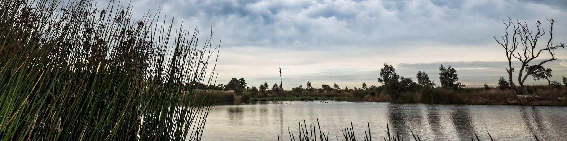 Awesome mammatus clouds over the lake at Armstrong Creek Geelong.