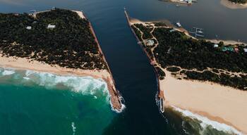 Eine Vogelperspektive auf eine Küstenlandschaft mit Sandstrand, einer schmalen Wasserstraße und einer dicht bewaldeten Insel.