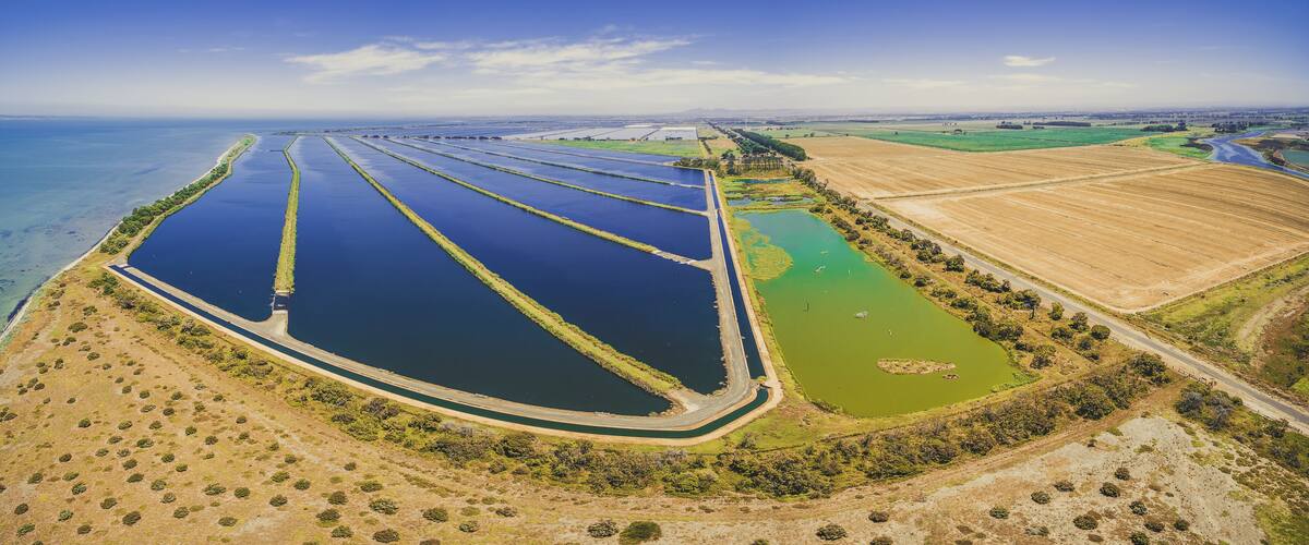 An aerial view of a coastal area with a large water body, green fields, and a road curving along the coast.