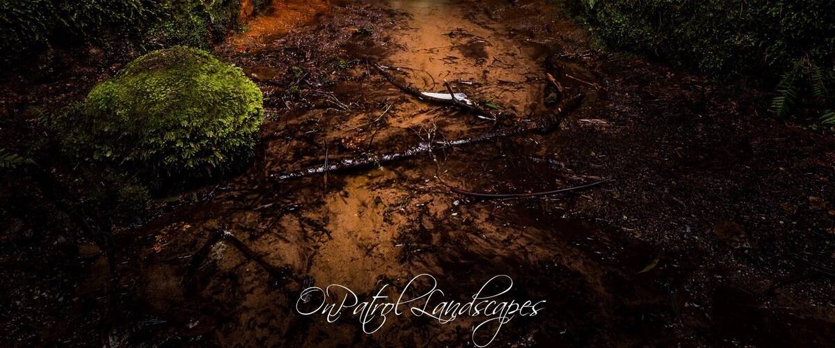 A little explore not far off the road found this little gem!!
#BVStrove