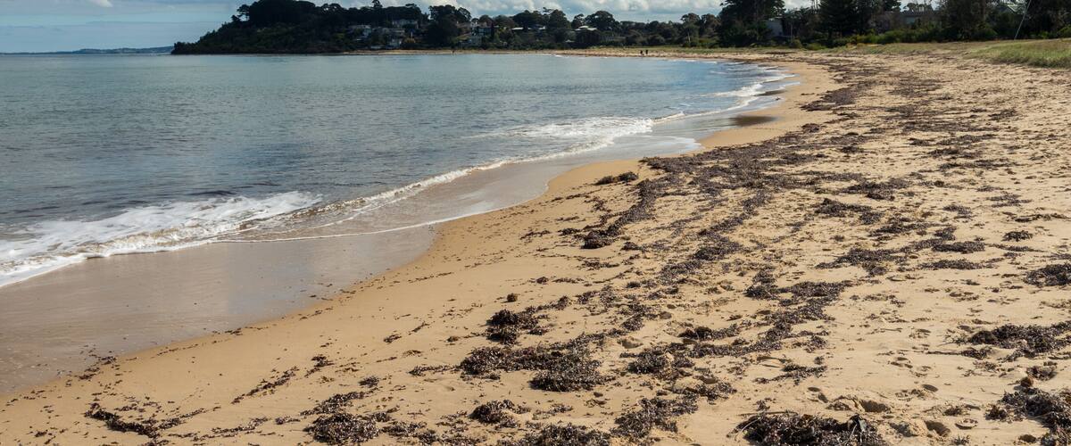 Balnarring Beach on the Mornington Peninsula on the shores of Western Port Bay in Australia, Shutterstock ID 713764891, Purchase Order: -