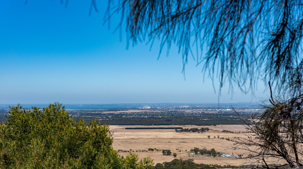 A panoramic view of a coastal landscape with a clear sky, dense greenery in the foreground, and a distant cityscape.