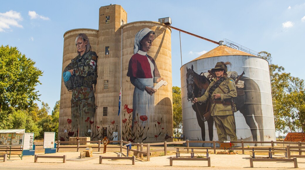 Devenish featuring outdoor art