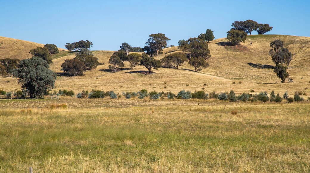 Winton which includes tranquil scenes