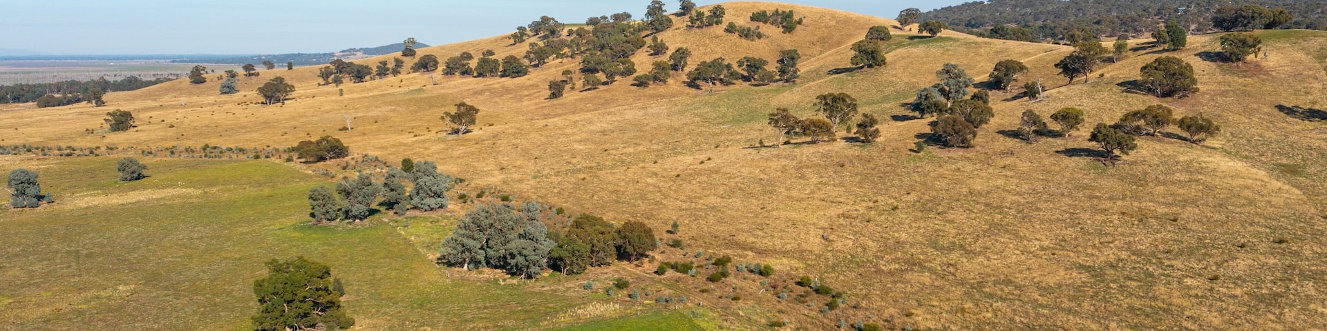 Winton which includes landscape views and tranquil scenes