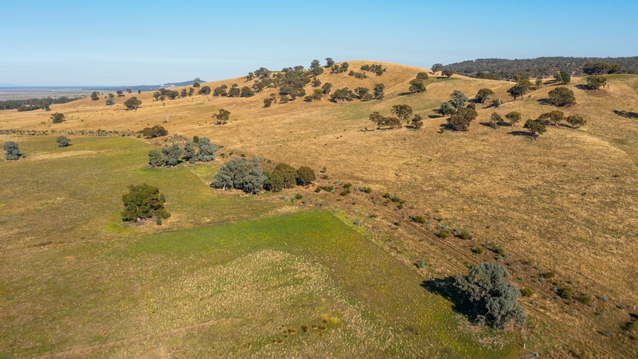 Winton which includes landscape views and tranquil scenes