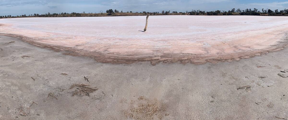 A salt flat with a wooden post in the center, surrounded by sparse vegetation and a clear sky.