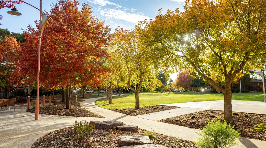 Colorful deciduous autumn trees line a well-maintained pathway or footpath in an urban park. A beautiful environment in a public park in a suburban neighborhood of Werribee, Melbourne, Australia.