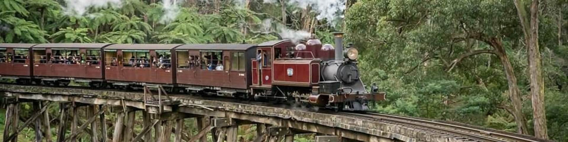 What else do you do on a overcast day in the Dandenong Ranges....
#Adventure
#MyBackyard
#Trovember