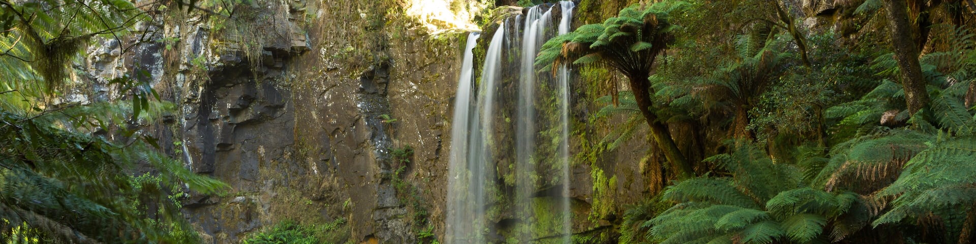 Rainforest Waterfall, Beech Forest, Victoria, Australia