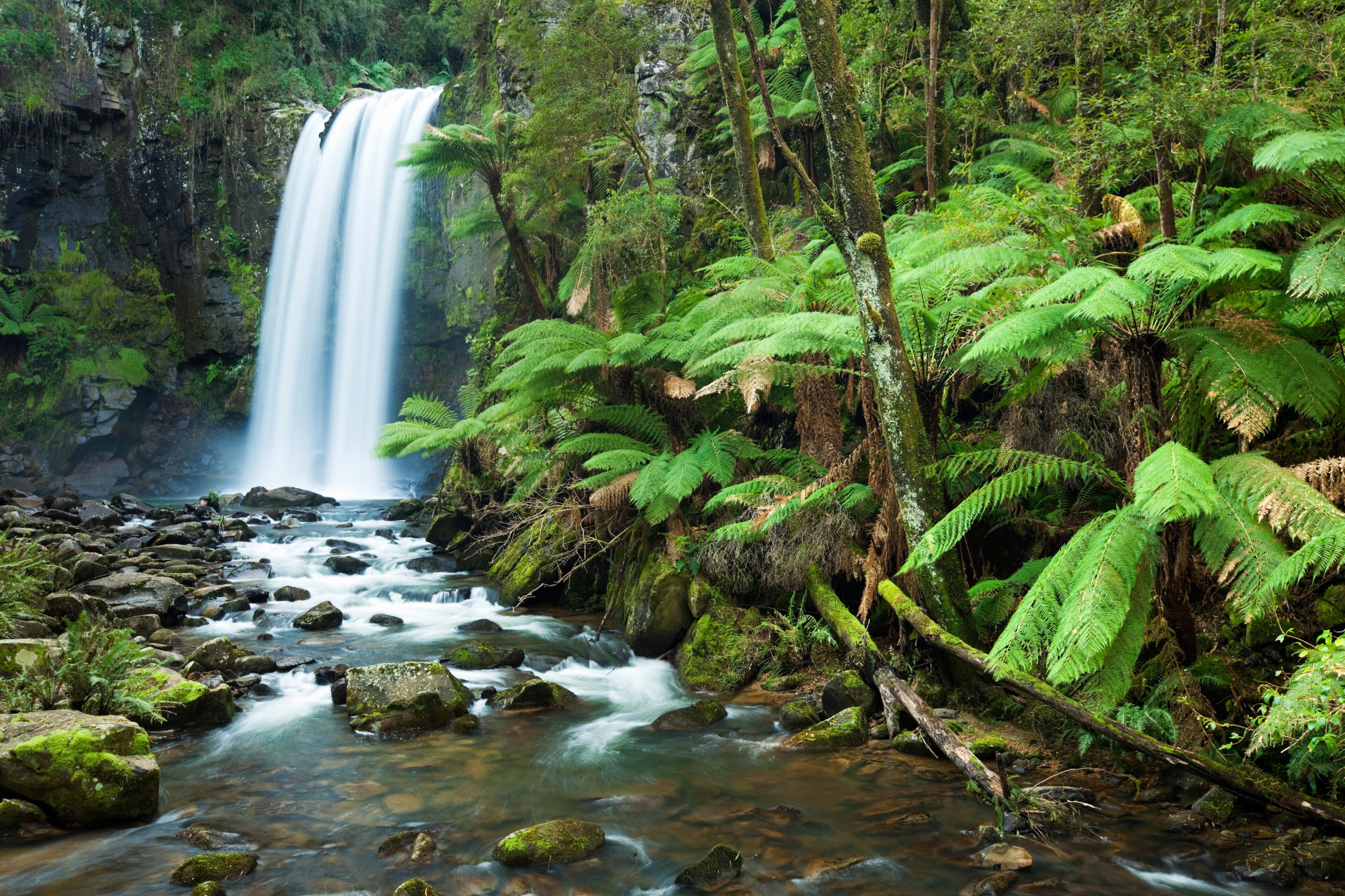 Rainforest waterfalls, Hopetoun Falls, Victoria, Australia