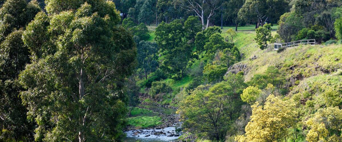 A view of Merri Creek that travels through much of the inner Melbourne suburbs and joins the Yarra River