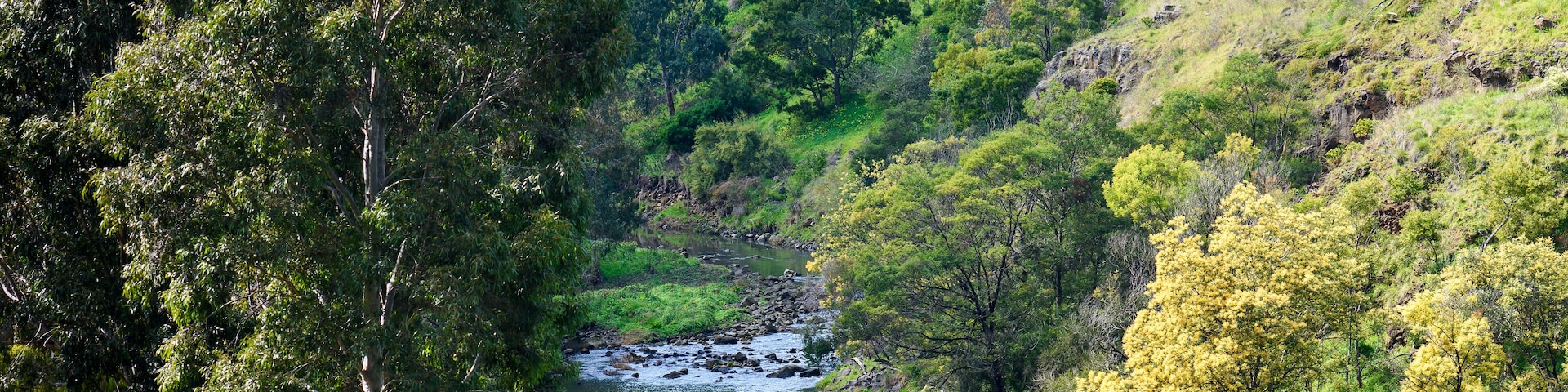 A view of Merri Creek that travels through much of the inner Melbourne suburbs and joins the Yarra River